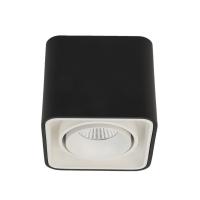 Влагозащищенный светильник LeDron TUBING Black/White
